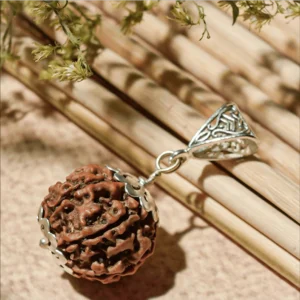 Rudraksha